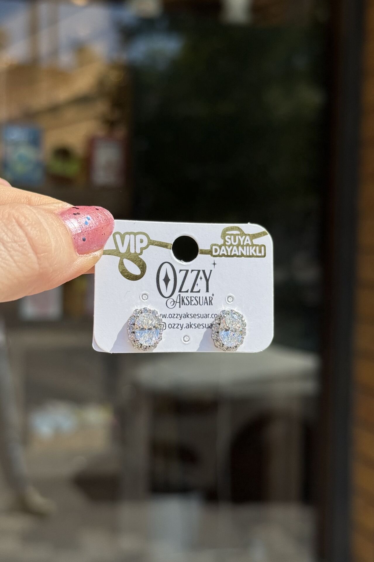 VIP Kenarları Taşlı Oval Zirkon Taş Küpe Gümüş Renk