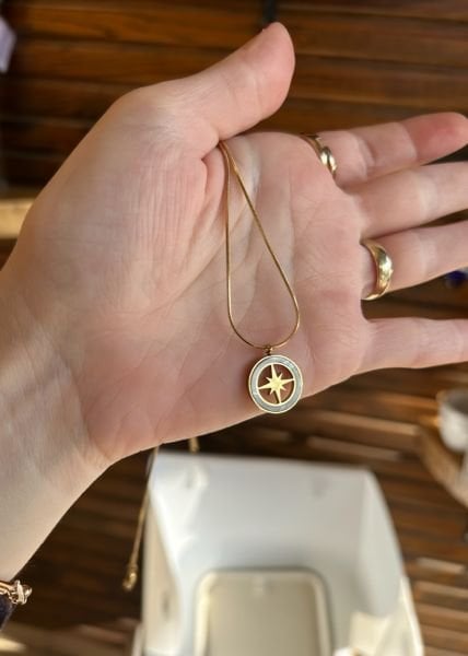 Çelik Sedefli Pusula Uç Yılan Sırtı Zincir Kolye