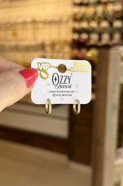 VIP Tam Tur Sıra Taşlı Halka Küpe 14K