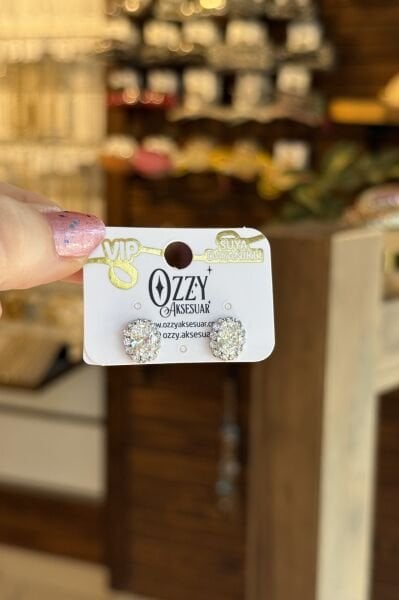 VIP Kenarları Taşlı Oval Zirkon Taş Küpe Gümüş Renk