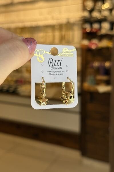 VIP Yıldızlı Shakira Halka Küpe 14K