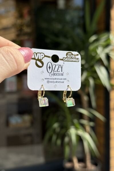 VIP Küp Kristal Opal Taşlı Kanca Halka Küpe 14K