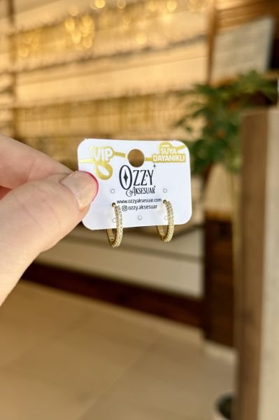VIP Önü Sıra Taşlı İnce Klasik Halka Küpe 14K