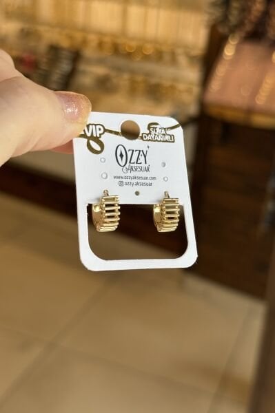 VIP Kafesli Halka Küpe 14K