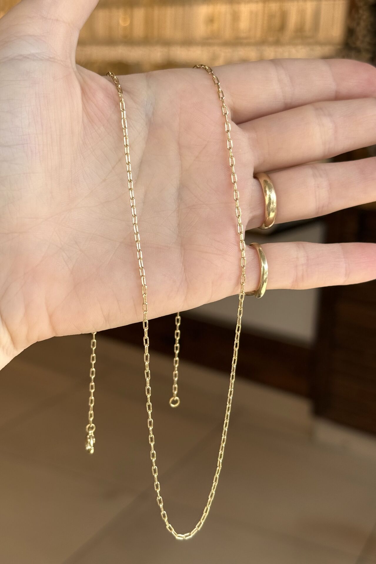 VIP Minik Halkalı Ataç Zincir Kolye 60 cm 14K