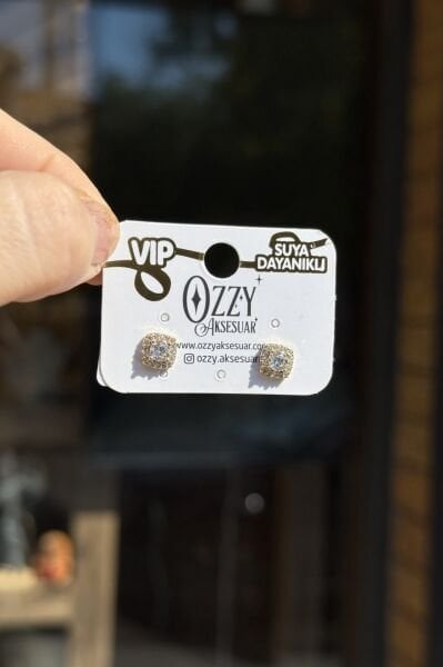 VIP Çevresi Taş İşlemeli Tek Taş Küpe 14K