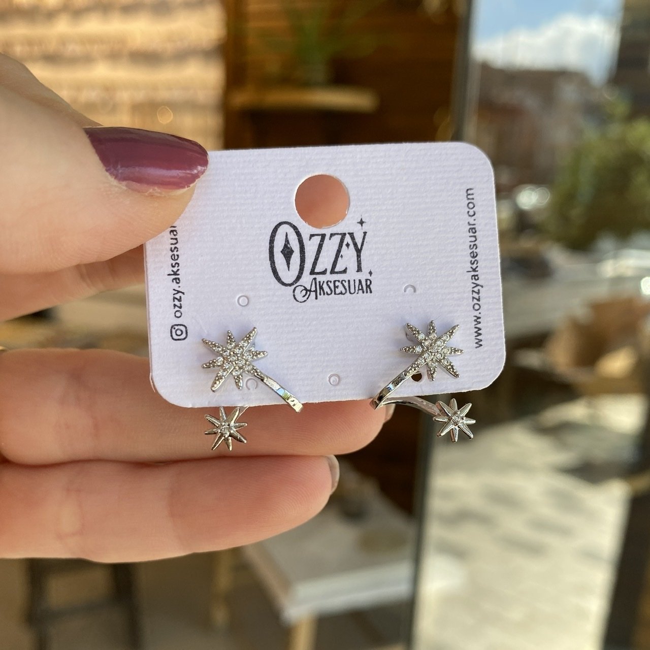 Kıvrımlı Kuzey Yıldızı Küpe Gümüş Renk