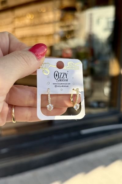 VIP Sıra Taş Detaylı Tek Taş Model Oval Halka Küpe 14K