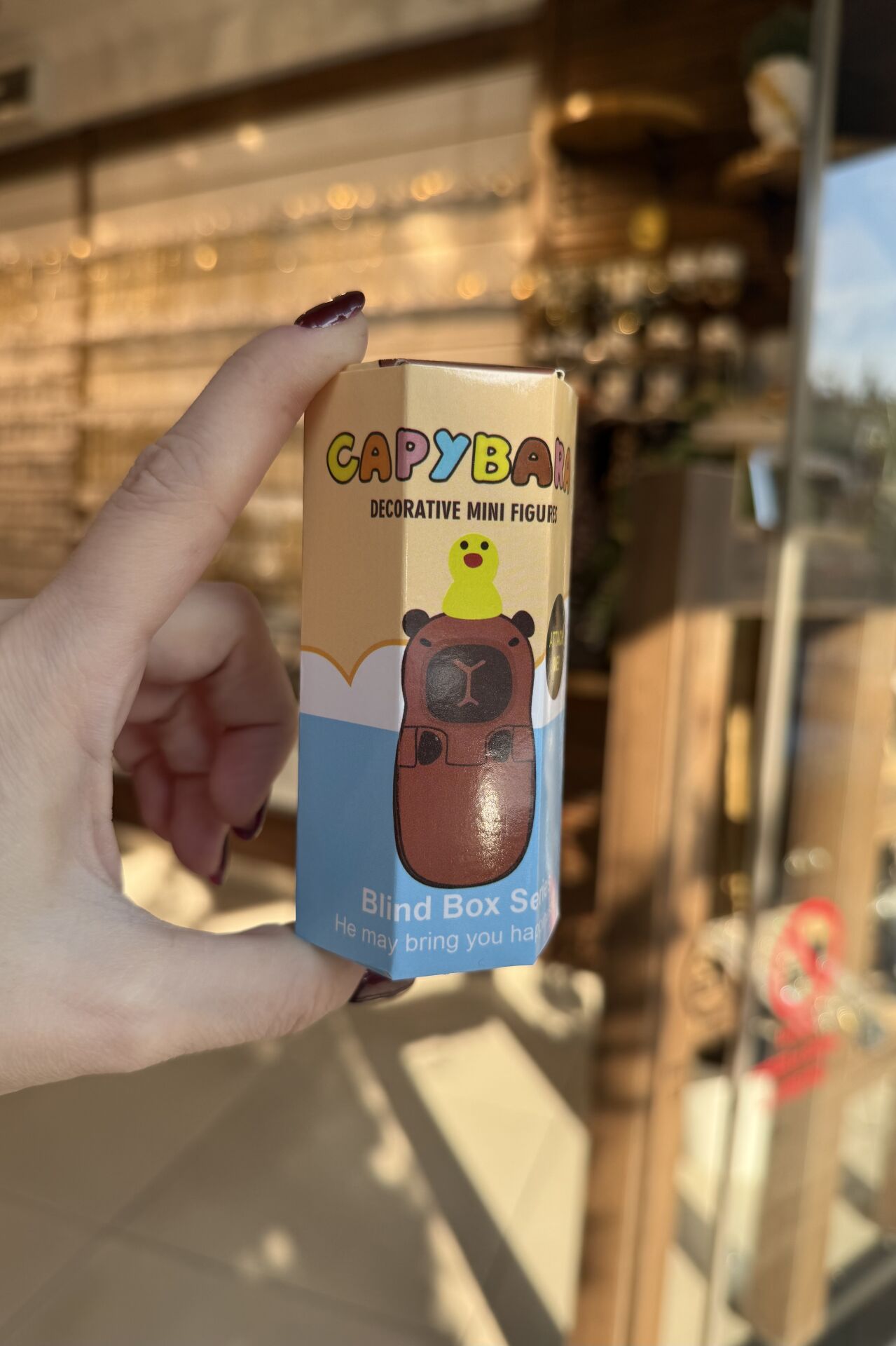 Kapibara Serisi Telefon Tablet Figürü Süpriz Kutu