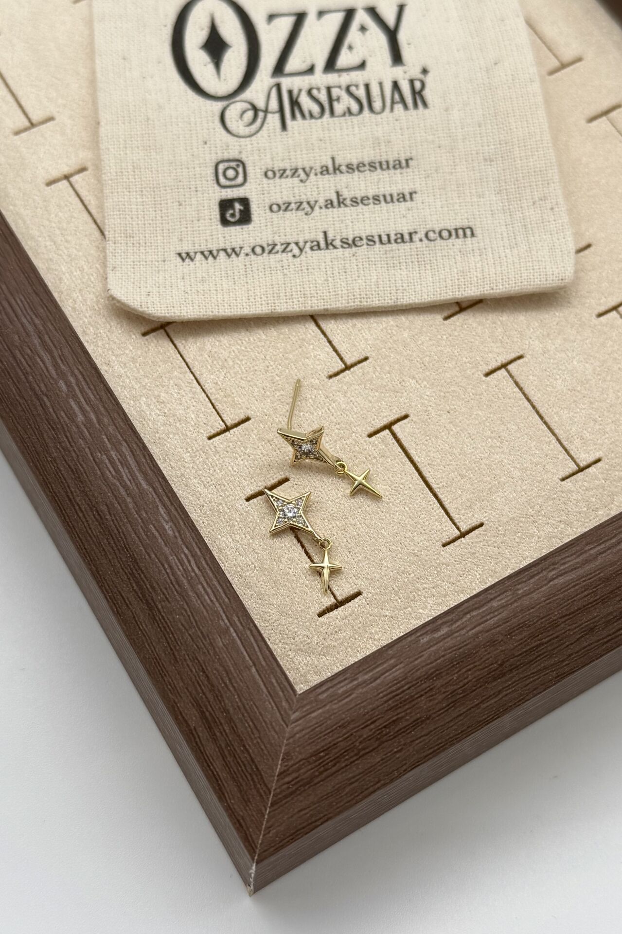 VIP Gömme Taşlı Sallantı Detay Kuzey Yıldızı Küpe 14K