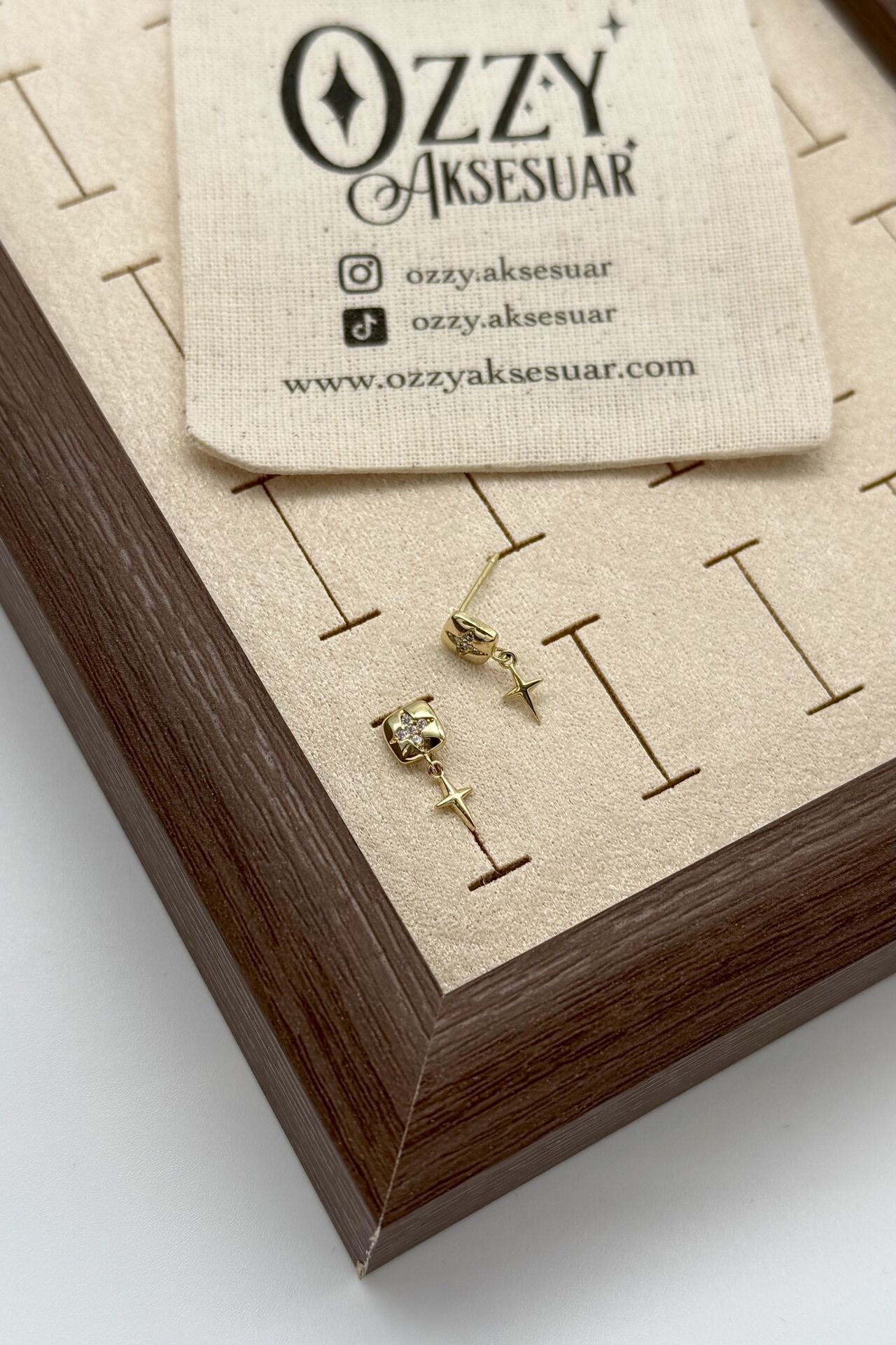 VIP Taş ve Sallantı Detaylı Kuzey Yıldız Küpe 14K