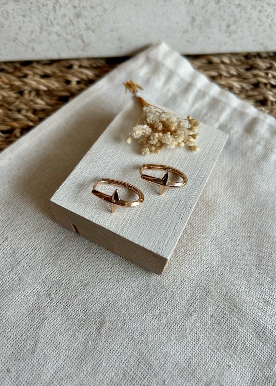 VIP Seri Kuzey Yıldız Model Oval Halka Küpe