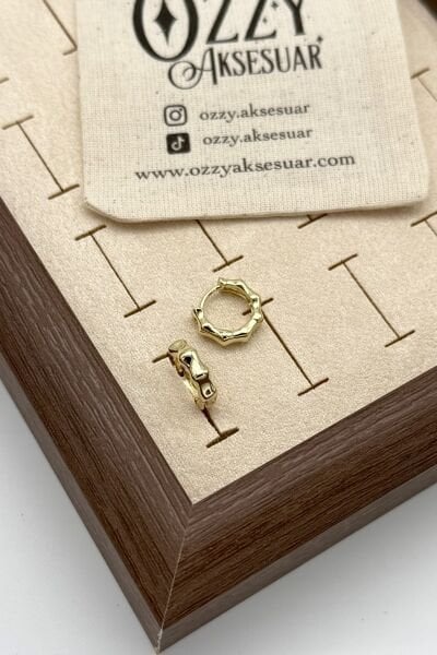 VIP Eklem Modelli Küçük Halka Küpe 14K