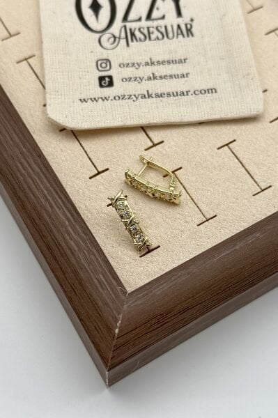 VIP Çapraz Modellli Gömme Taş Detay Küpe 14K