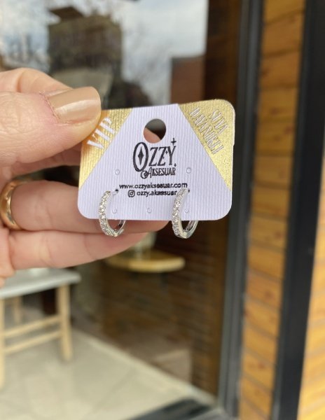 VIP Seri Önü Sıra Zirkon Taşlı Halka Küpe Gümüş Renk