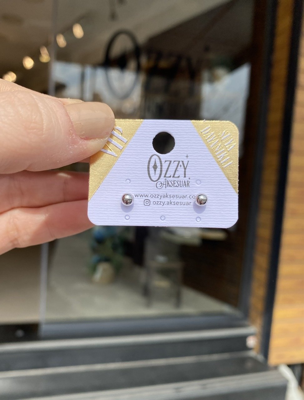 VIP Seri Top Küpe Gümüş Renk