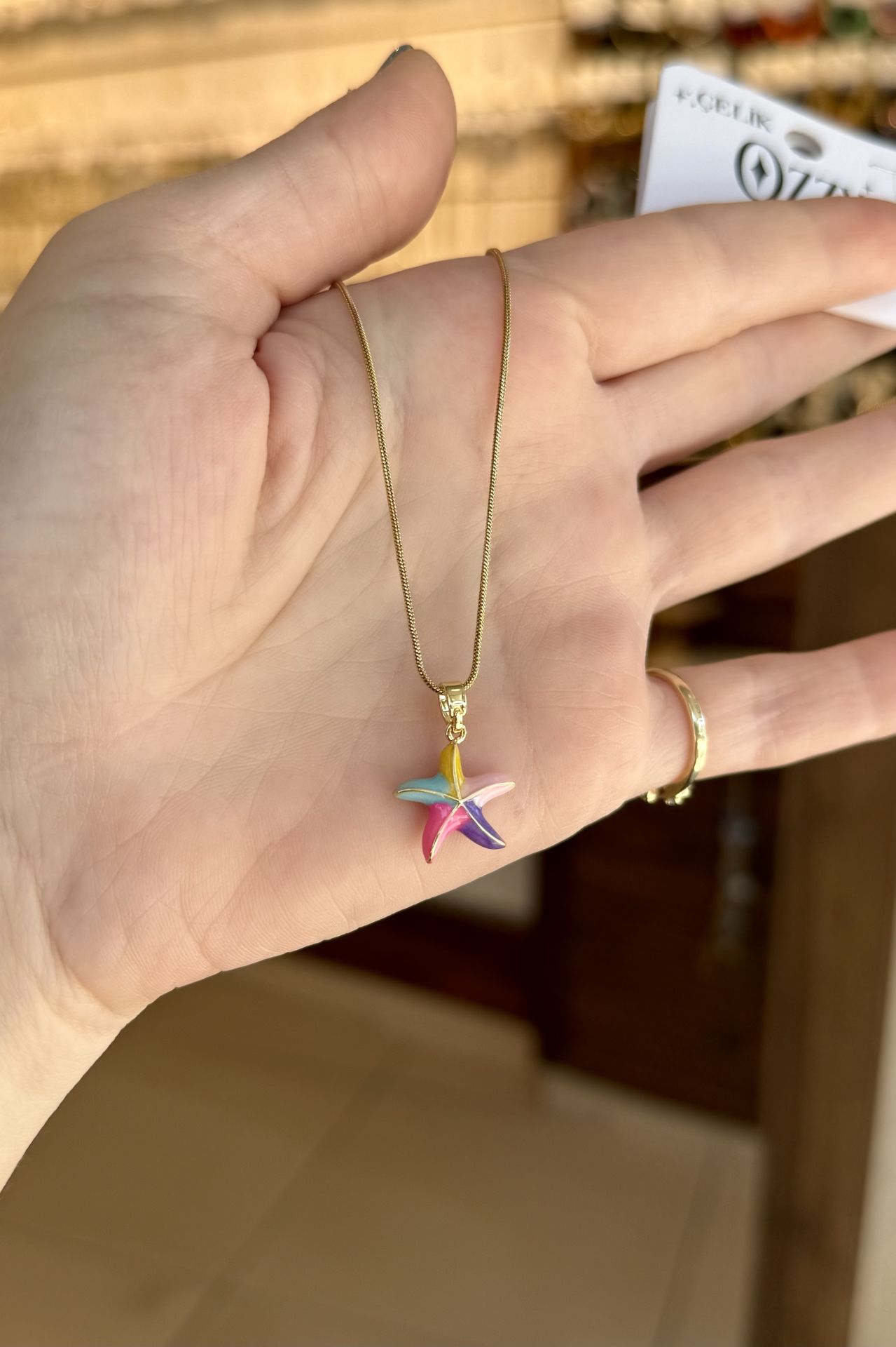 Çok Renkli Mineli Deniz Yıldızı Çelik Kolye 45 cm