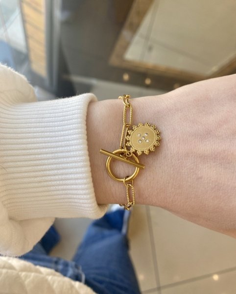 Çelik Geçme Klipsli Oval Zincir Bileklik