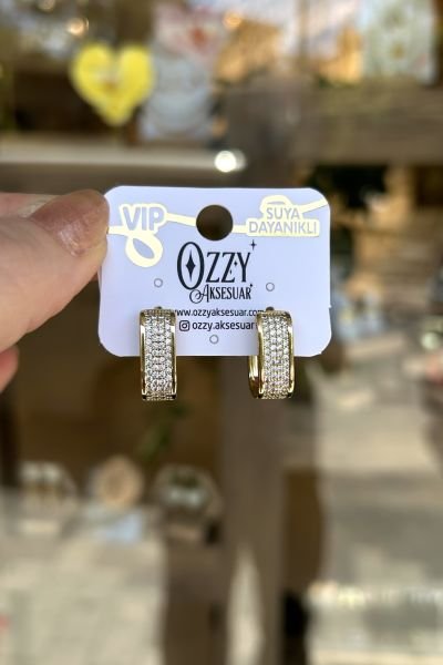 VIP 4 Sıra Gömme Taşlı Oval Halka Küpe 14K