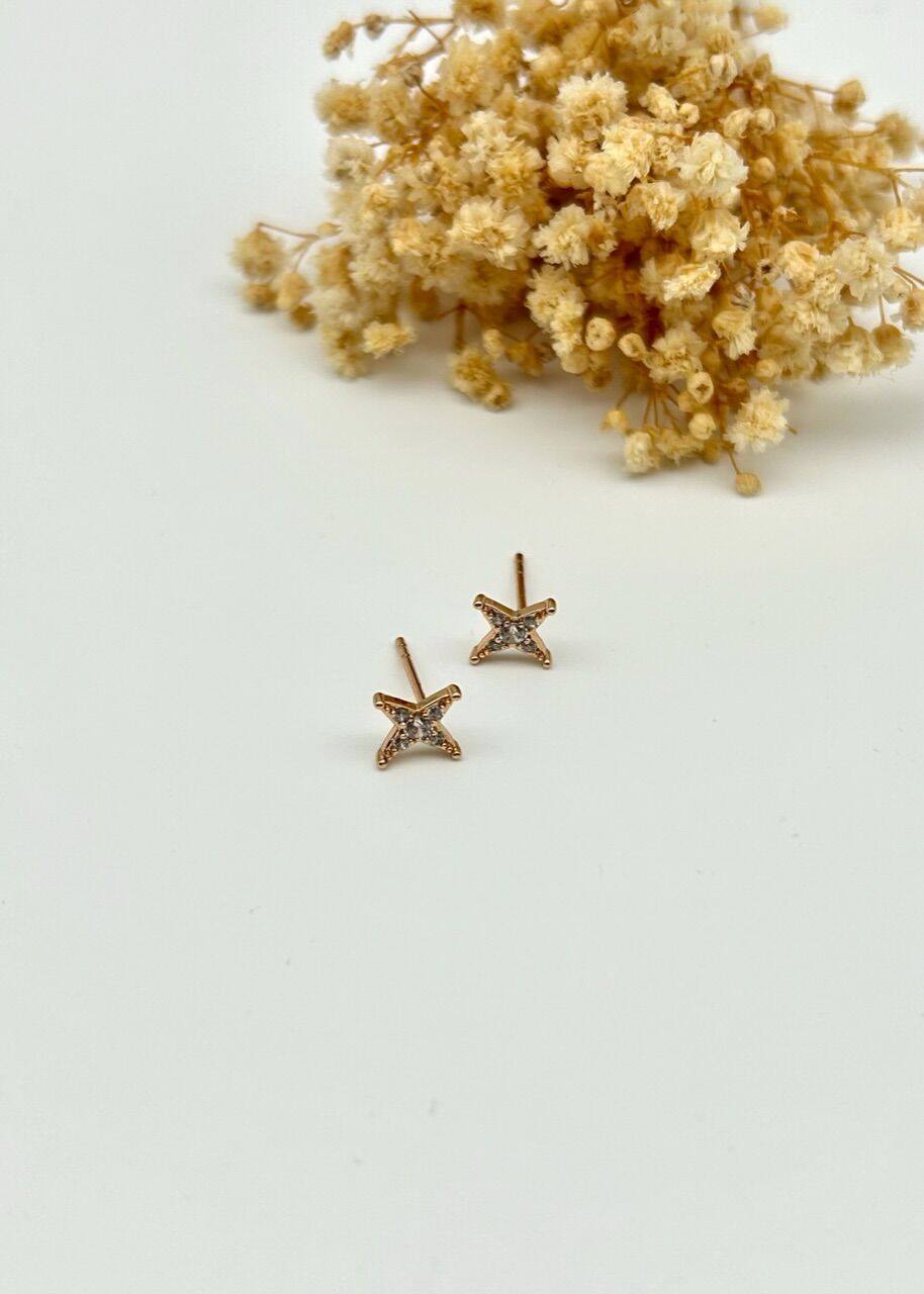 VIP Seri Taşlı Minimal Kuzey Yıldızı Küpe