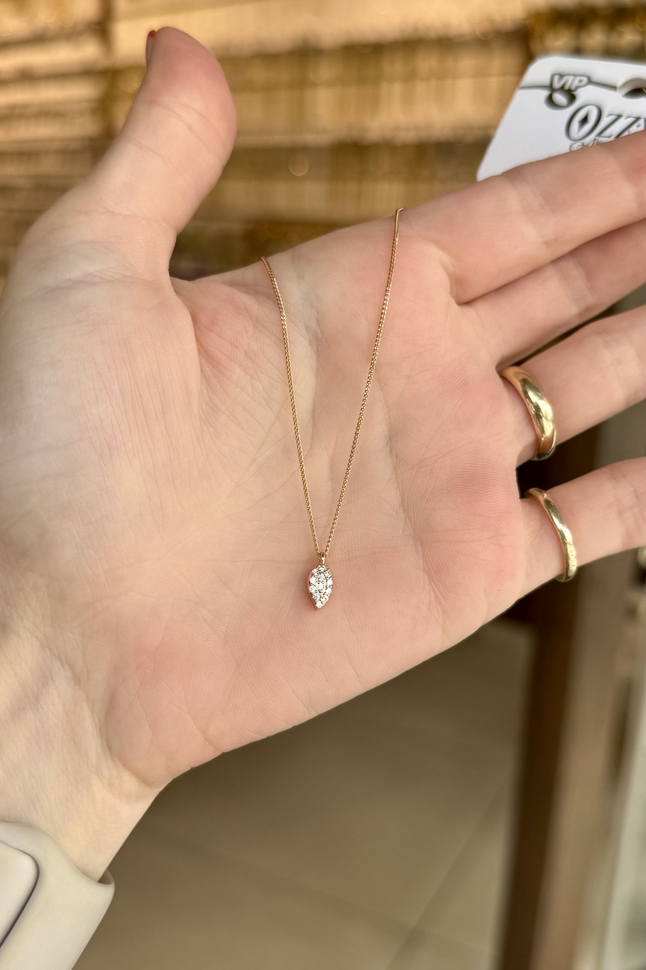 VIP Gömme Taşlı Yaprak Model Kolye 45 cm 22K