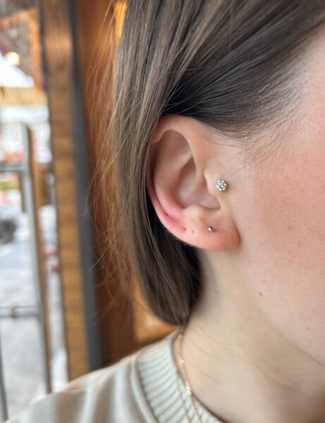 VIP Seri Top Küpe 1 mm 1 Adet Gümüş Renk